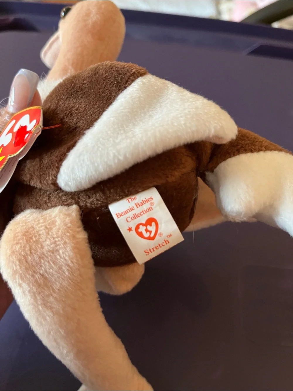 Stretch the Ostrich Beanie Baby